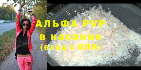 ГАЛЛЮЦИНОГЕННЫЕ ГРИБЫ Пестово