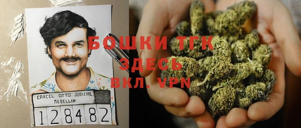 ГАЛЛЮЦИНОГЕННЫЕ ГРИБЫ Пестово