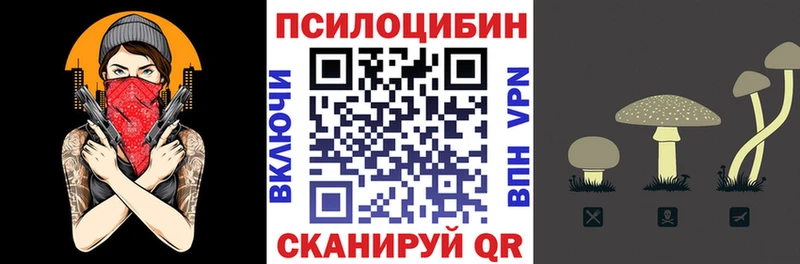 Псилоцибиновые грибы мухоморы  даркнет состав  Невельск  купить закладку  hydra маркетплейс 